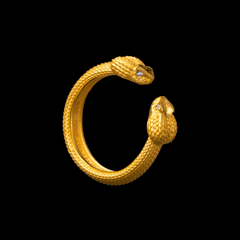 Amphisbaena Ring - Image 9