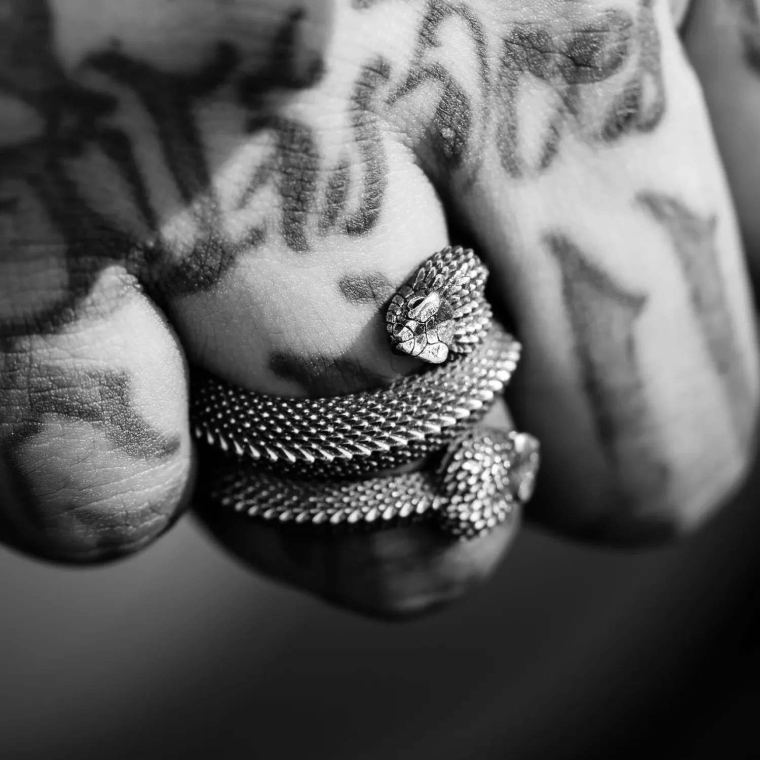 Amphisbaena Triple layer Ring - Image 4