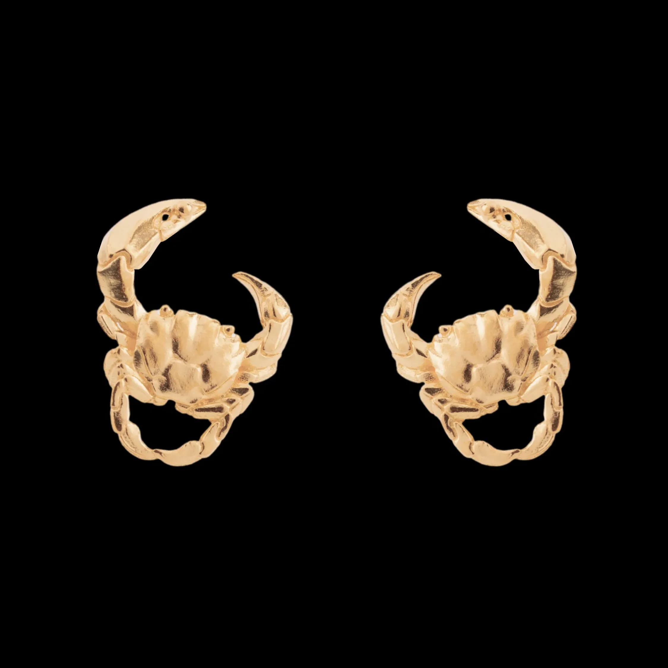 Crab Earrings