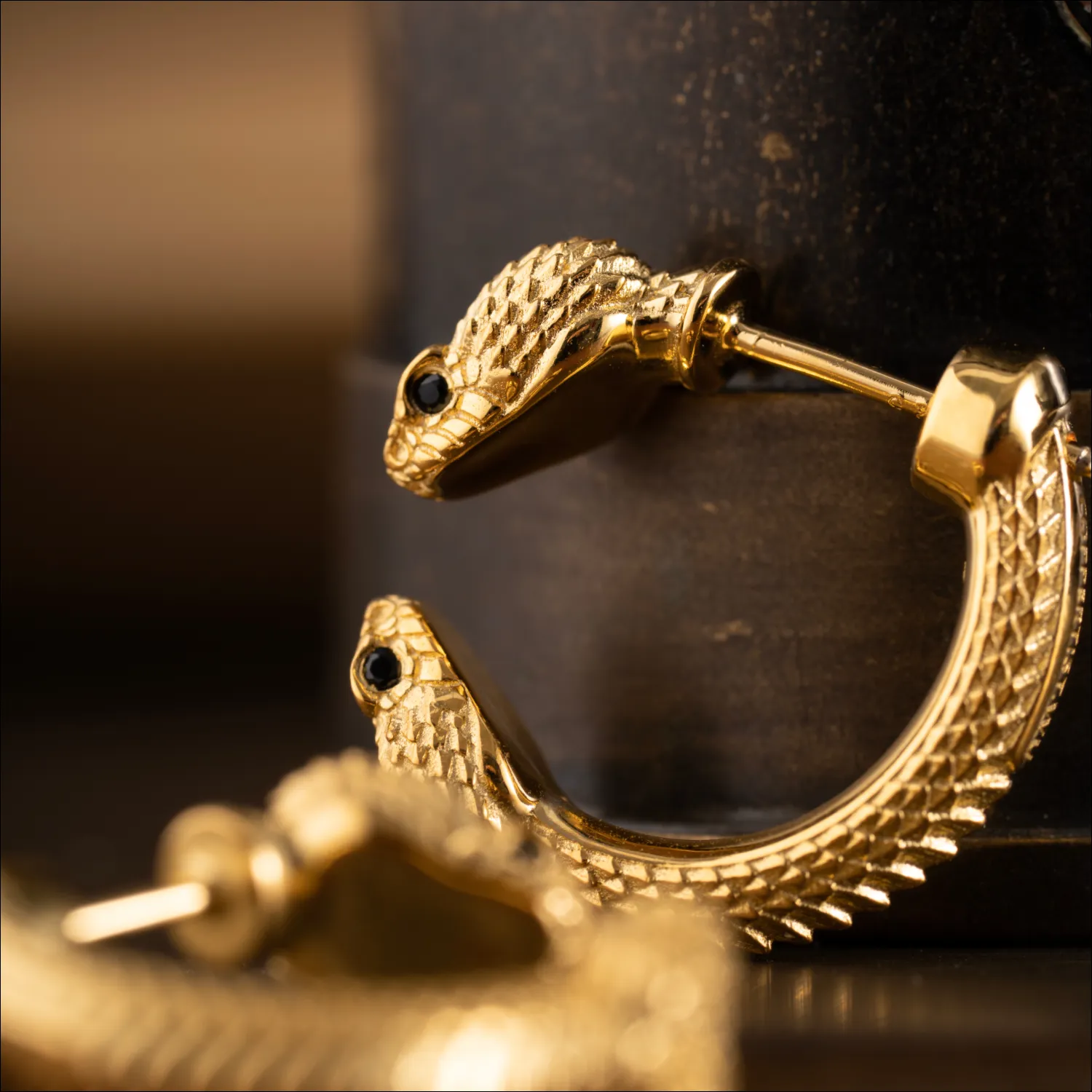 Amphisbaena Earrings - Image 5