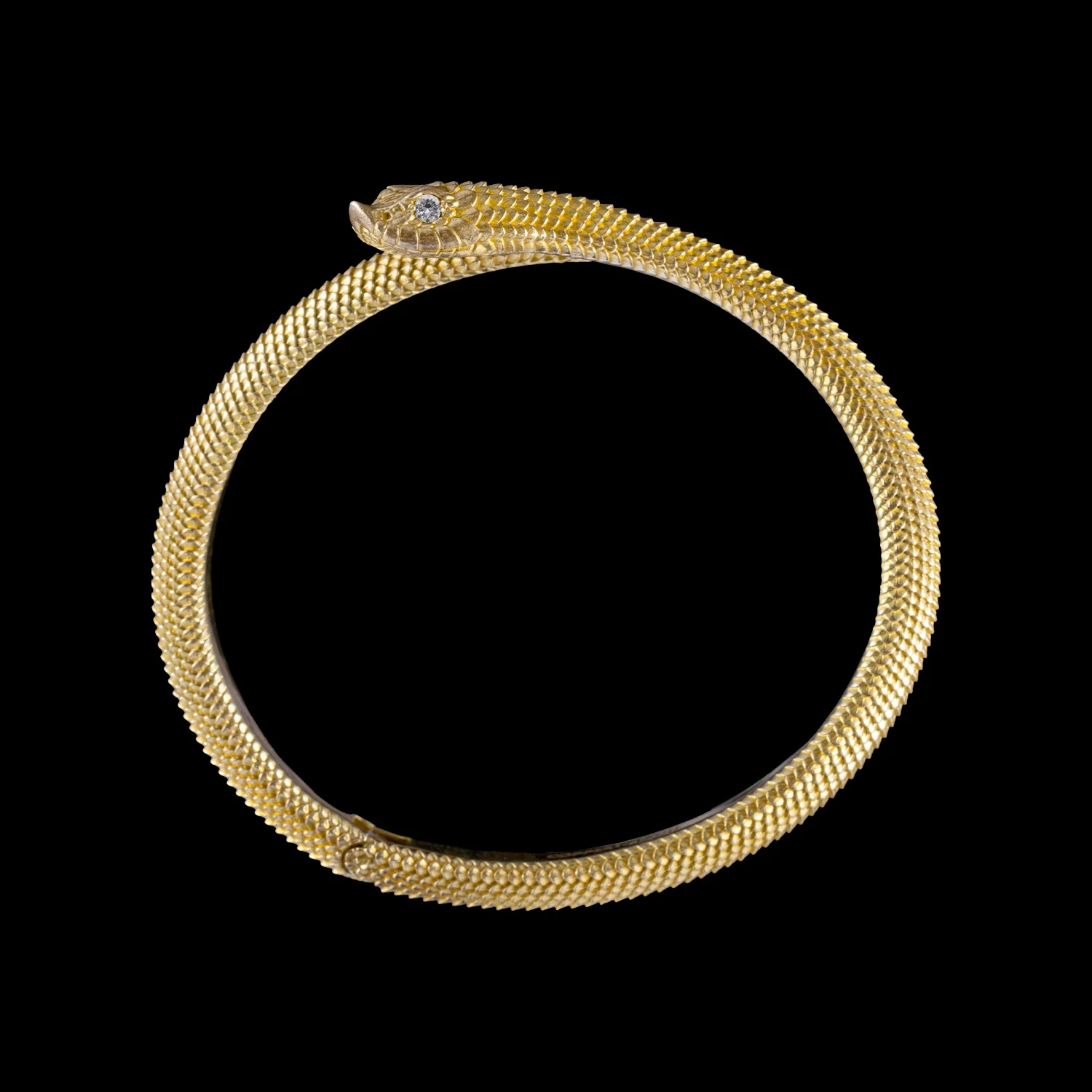 Hognose Snake Bracelet - Image 15
