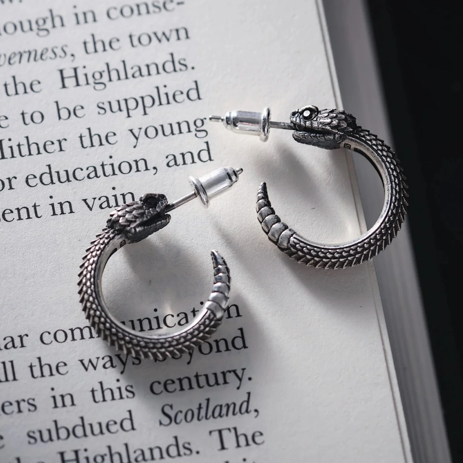 Rattlesnake Earrings - Image 6