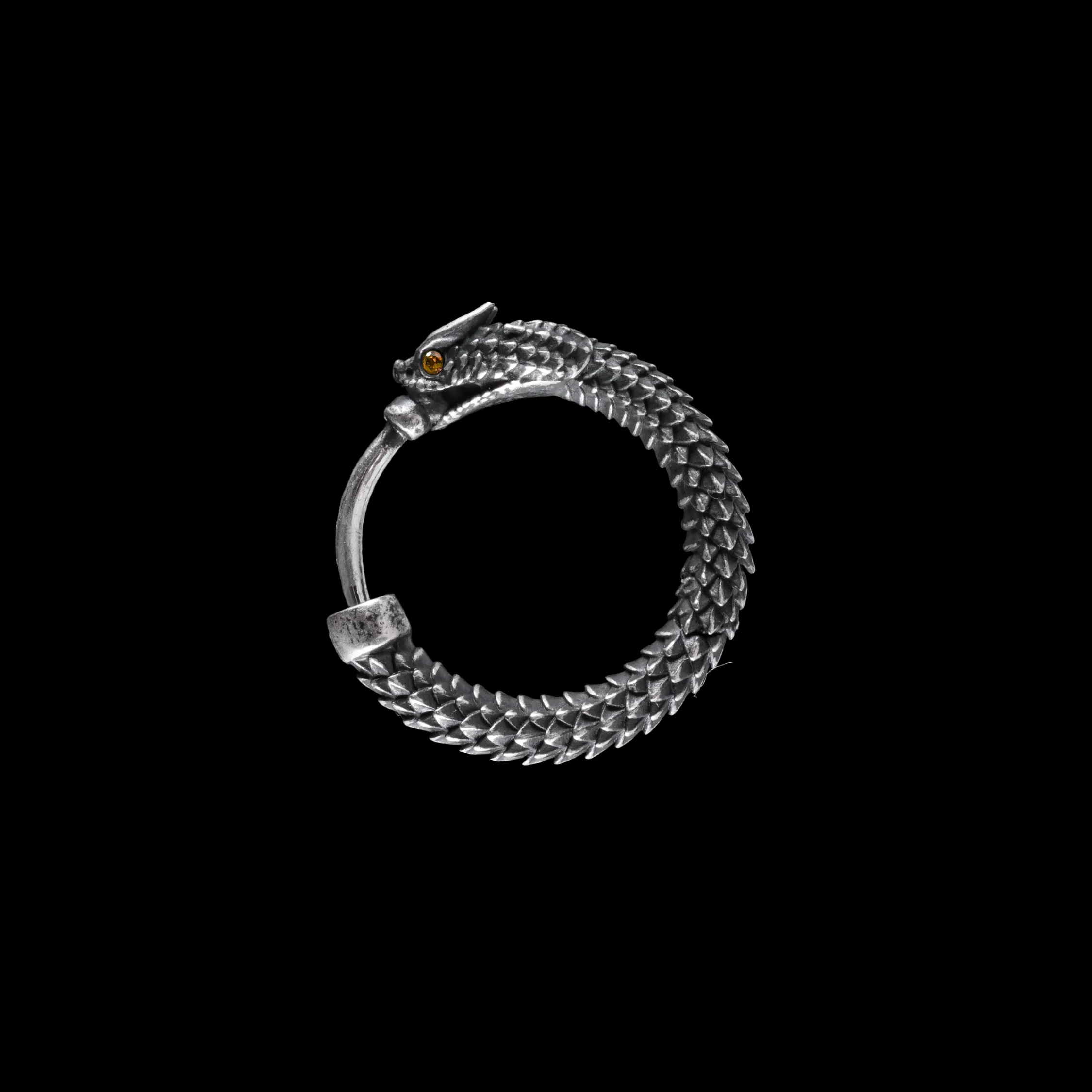Ouroboros Earrings - Image 31