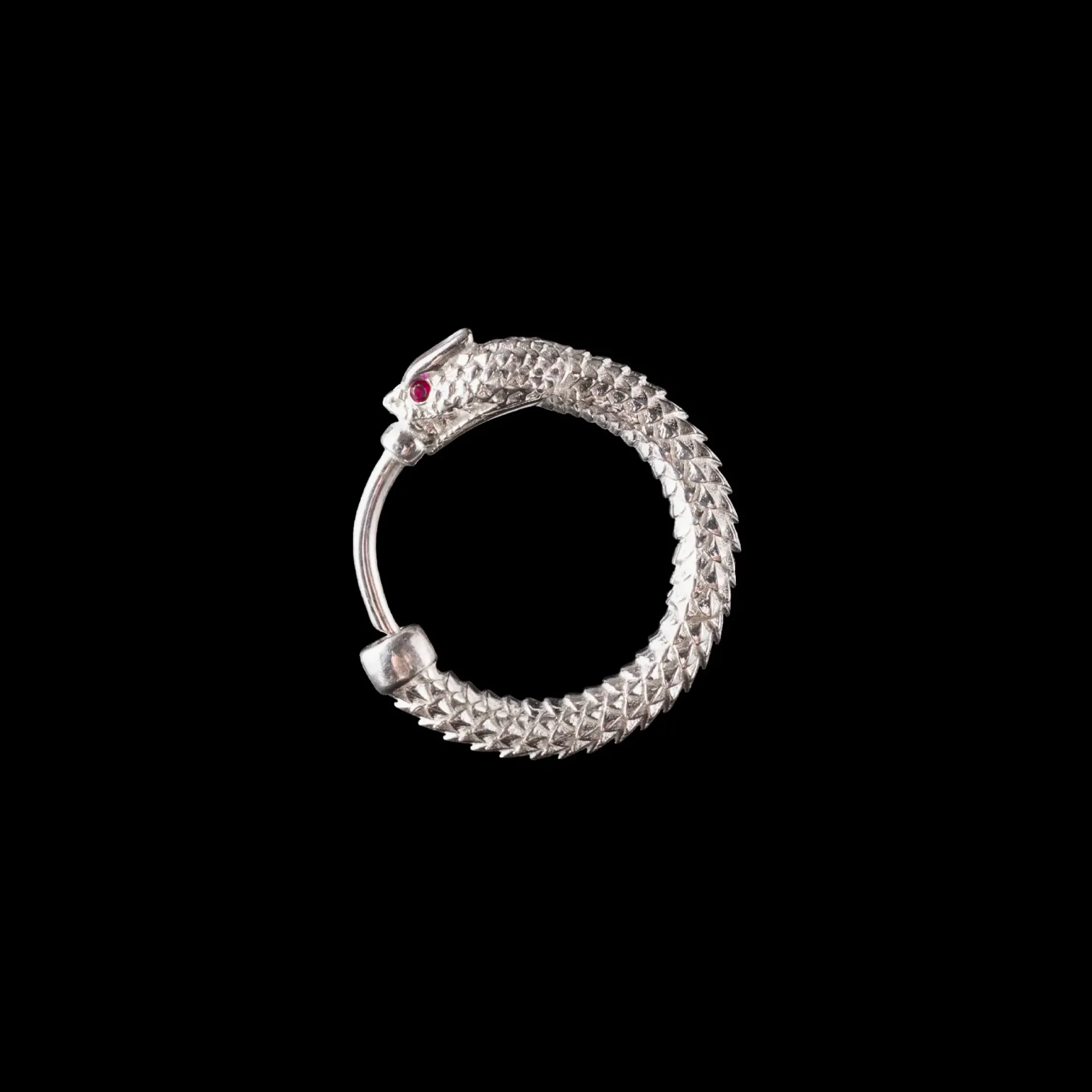 Ouroboros Earrings - Image 21