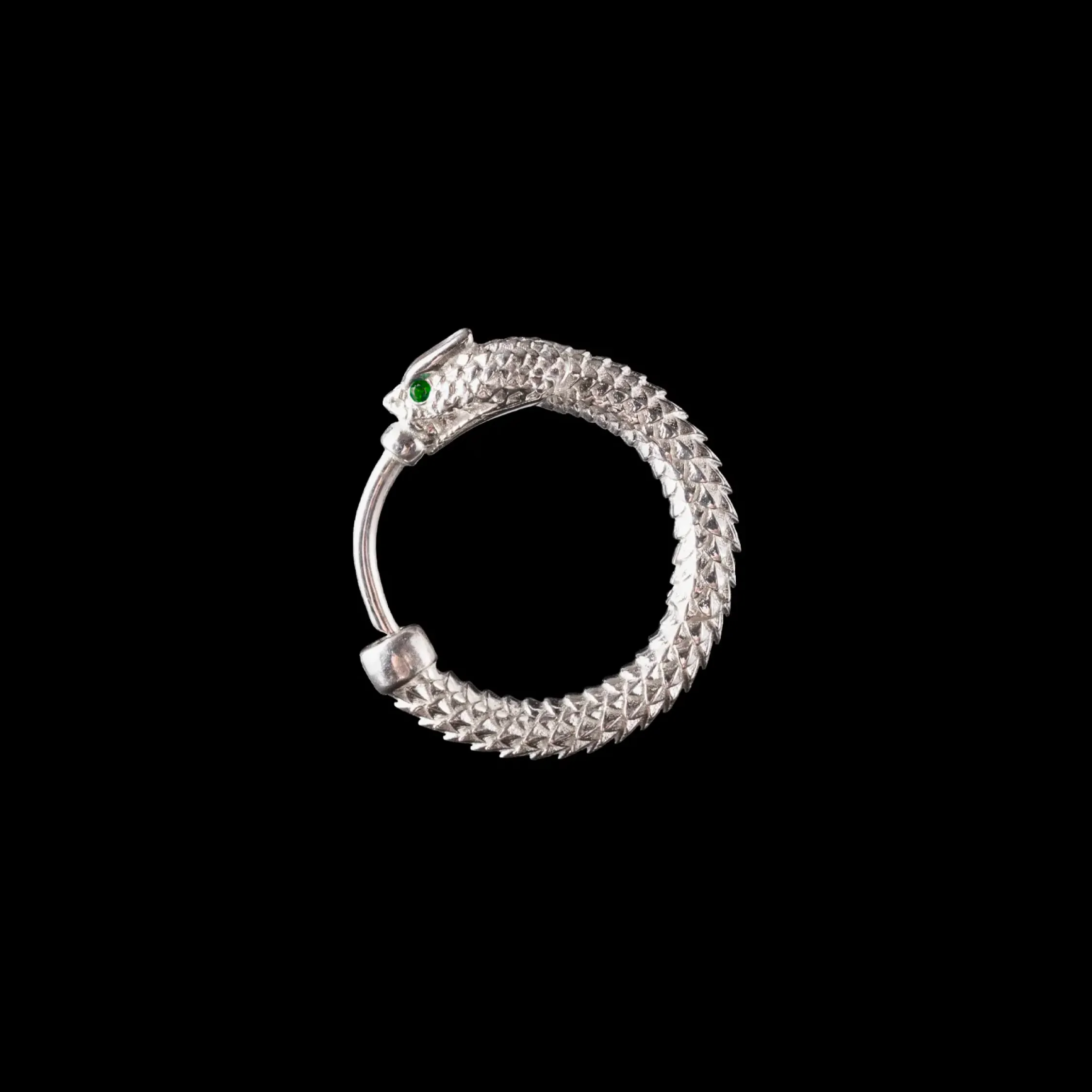Ouroboros Earrings - Image 24