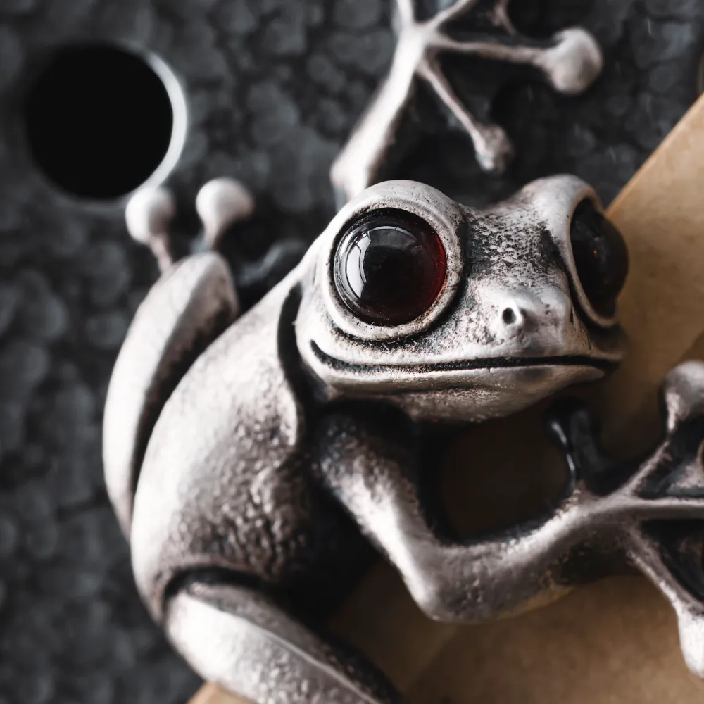 Tree Frog Fridge Magnets - Image 3