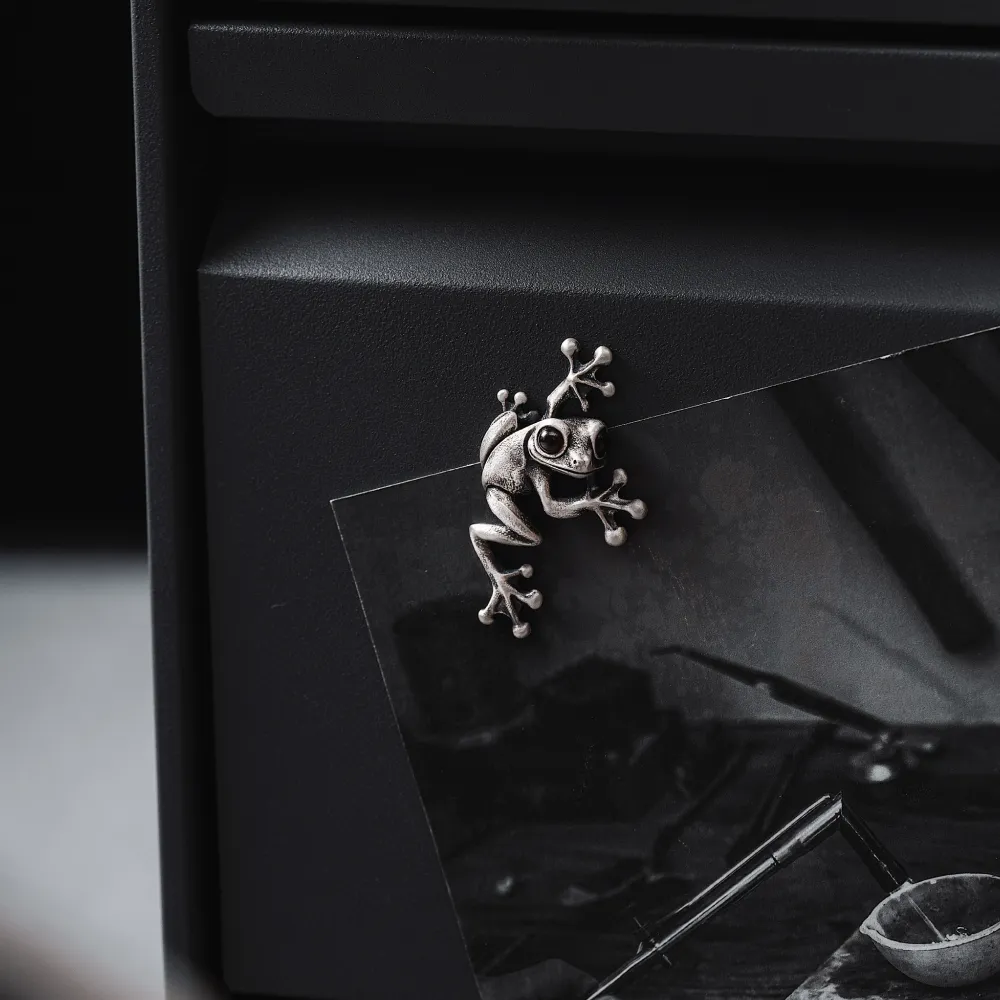 Tree Frog Fridge Magnets - Image 6