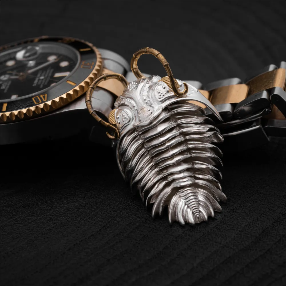 Trilobite Kinetic Pendant - Image 6