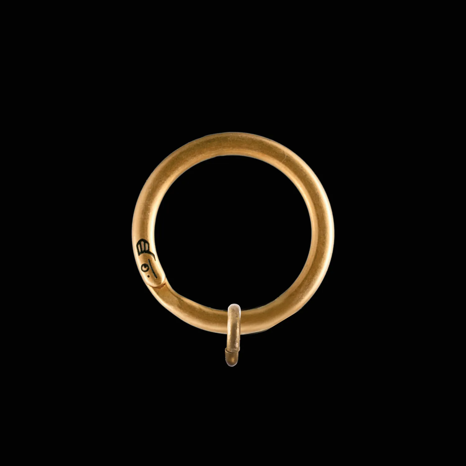 Electric Eel Key Ring - Image 15