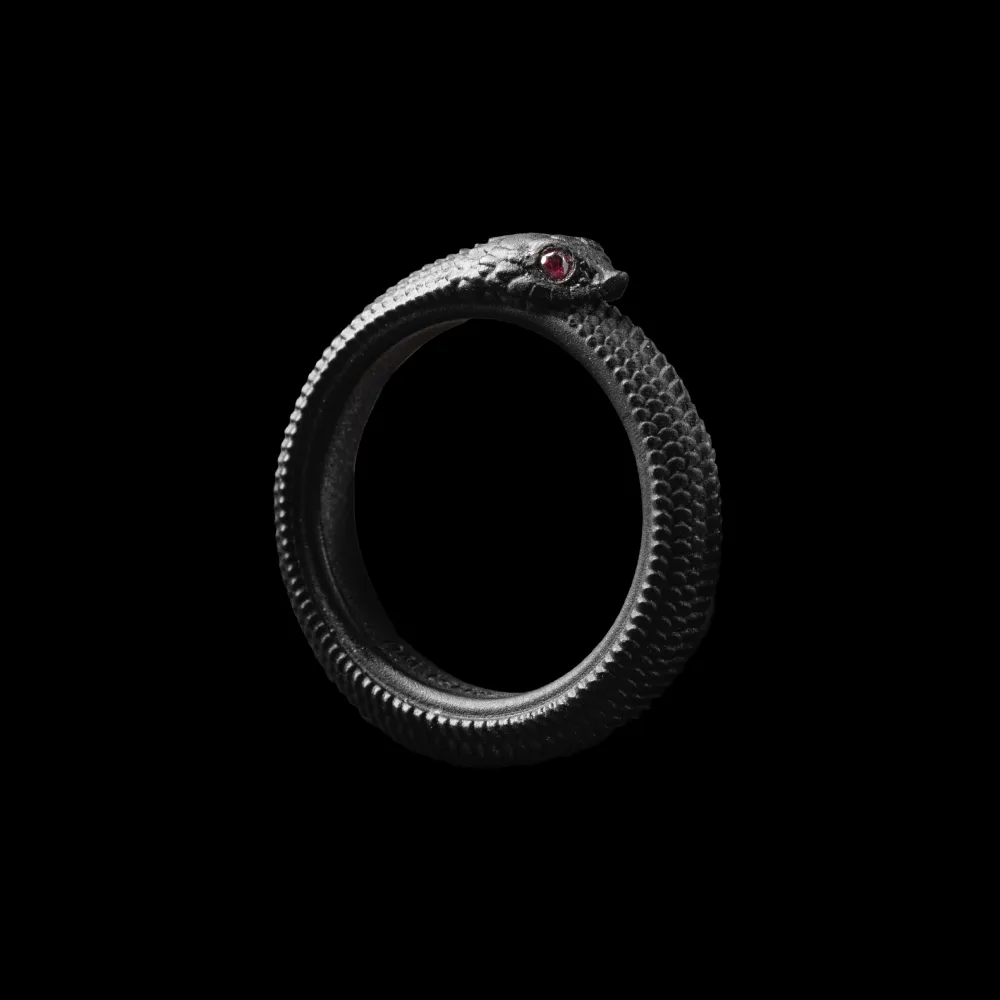 Ouroboros Ring 2.0 - Image 2