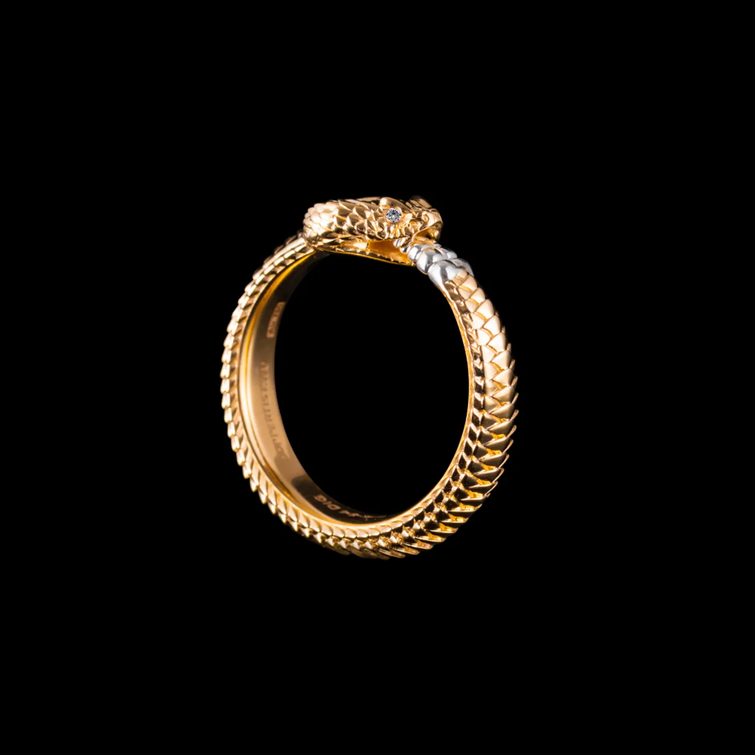 Ouroboros Ring - Image 13