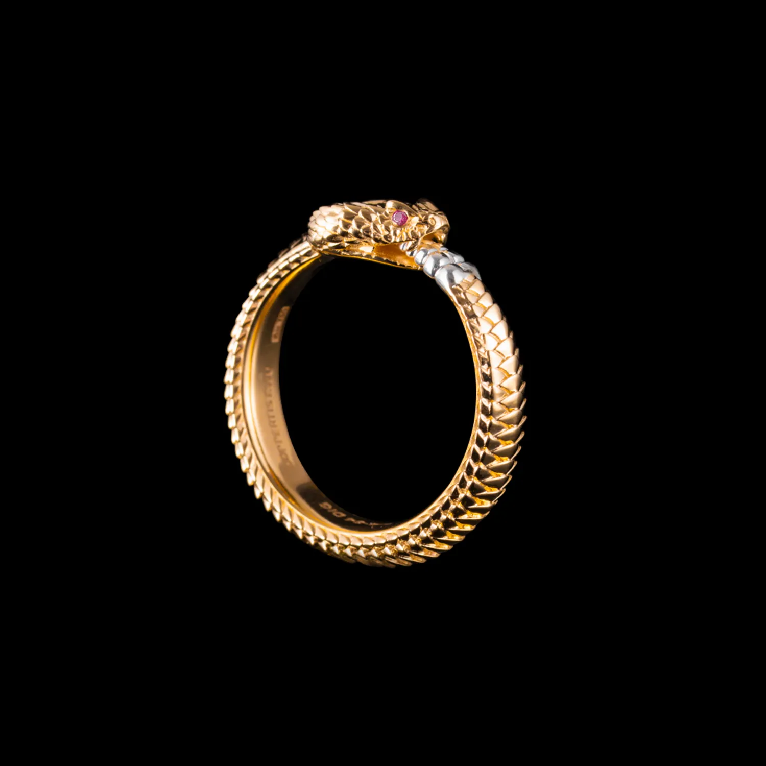 Ouroboros Ring - Image 16