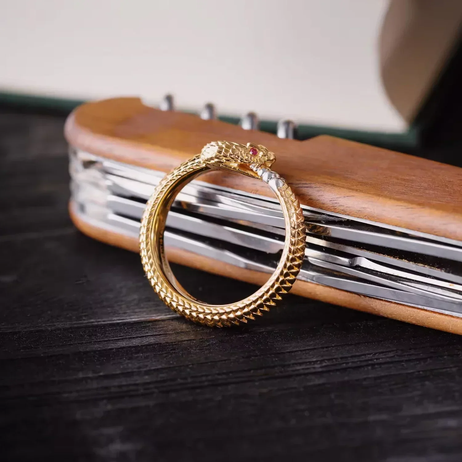 Ouroboros Ring - Image 3
