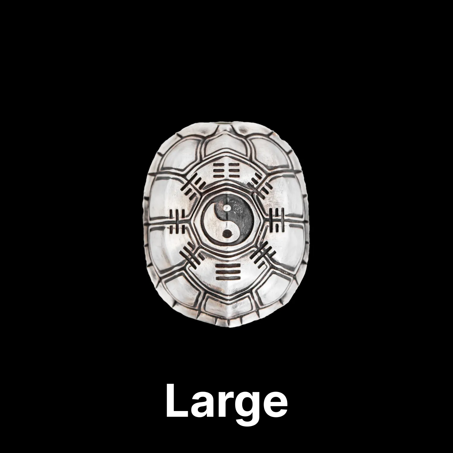 Turtle Shell Divination - Image 15