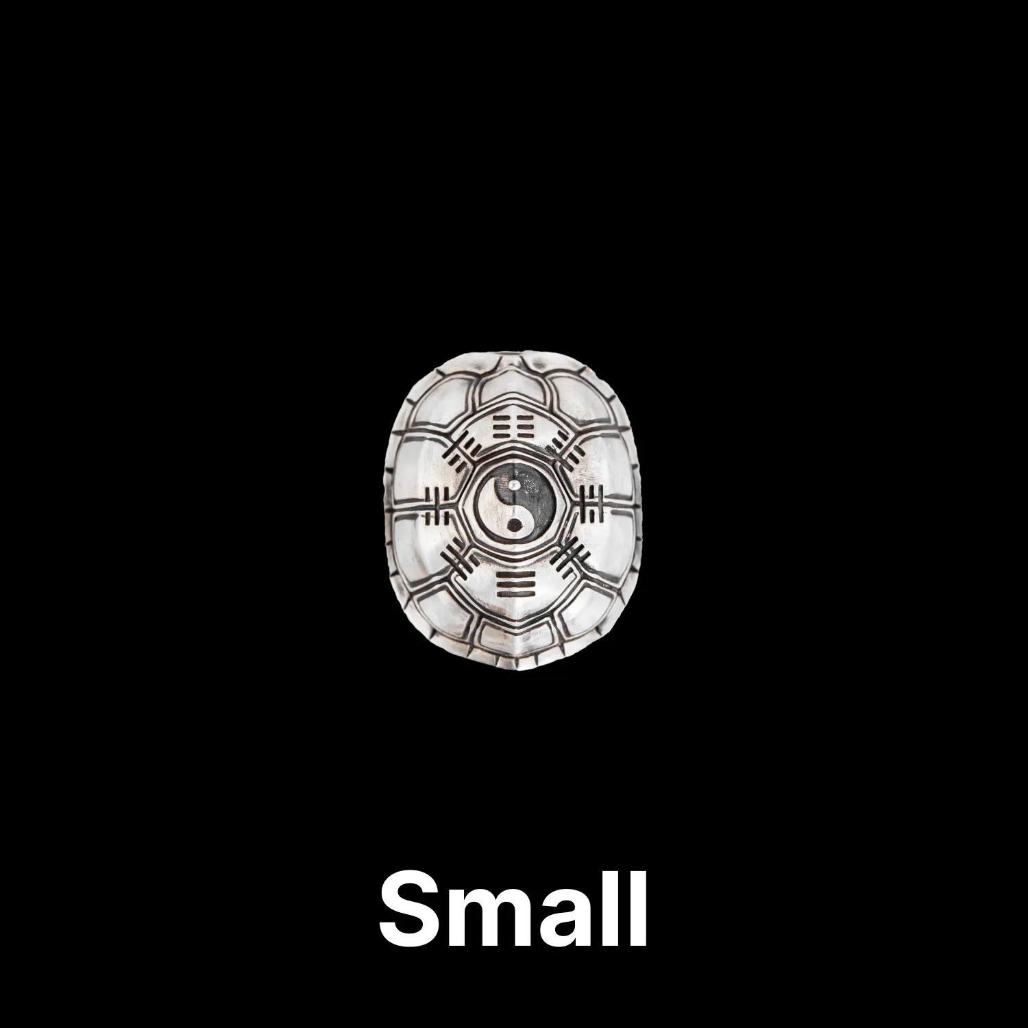 Turtle Shell Divination - Image 16